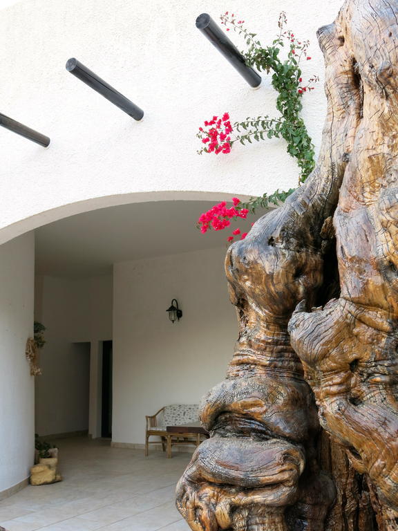 Agriturismo Tenuta Del Morige Ґалатоне Номер фото